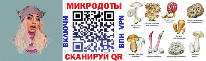 Купить где  Монино  Галлюциногенные грибы Magic Shrooms 